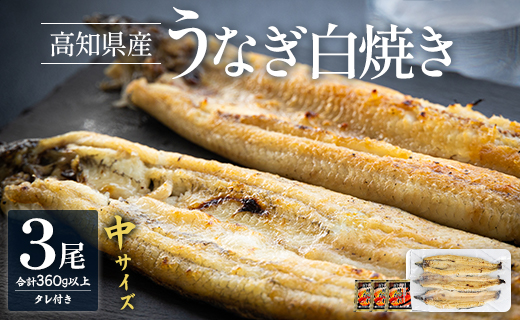 高知県産うなぎの白焼き 中サイズ 3尾(合計360g以上) タレ付き - 鰻 ウナギ 晩ご飯 夕飯 おかず 魚 肴 おつまみ ギフト 贈答 贈り物 丑の日 クリスマス 年末年始 吉川水産 高知県 香南市【冷凍】 yw-0046