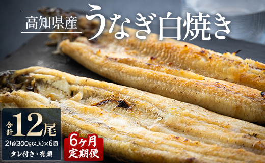 【6ヶ月定期便】高知県産うなぎの白焼き 合計12尾 (2尾300g以上×6回) タレ付き エコ包装 - 鰻 ウナギ しらやき 有頭 つまみ ご飯のお供 ごはん 丼 たれ 簡易 Wyw-0075