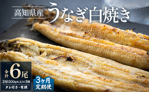 【3ヶ月定期便】高知県産うなぎの白焼き 合計6尾 (2尾300g以上×3回) タレ付き エコ包装 - 鰻 ウナギ しらやき 有頭 つまみ ご飯のお供 ごはん 丼 たれ 簡易 Wyw-0077