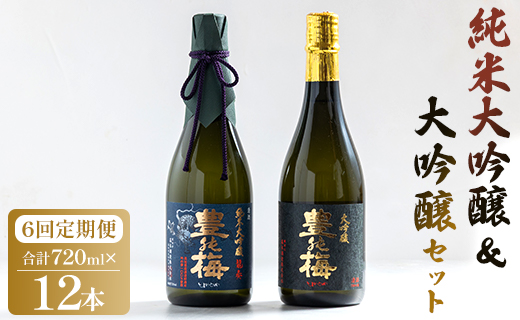 6回定期便 純米大吟醸＆大吟醸セット 720ml各1本（合計12本） - お酒 純米酒 日本酒 地酒 飲み比べ 龍奏 鶯寿 宅飲み お祝い 高木酒造株式会社 高知県 香南市【冷蔵】 Wgs-0195