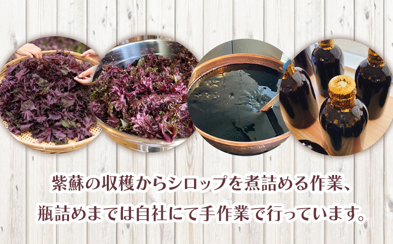 赤紫蘇シロップ(赤しそシロップ) 3本 合計900ml - シソ 赤しそ ジュース 飲料 ドリンク ソーダ割り カクテル スイーツ 濃縮 tc-0009