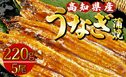 高知県産養殖うなぎ蒲焼 5尾(合計約1100g) - タレ付き たれ 丑の日 鰻 ウナギ かばやき うな丼 うな重 送料無料 須崎市道の駅 ギフト 贈答 贈り物 高知県 香南市 冷凍 ss-0036