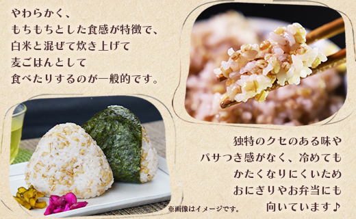 ãã¡éºŠïŒãã€ã·ã¢ãïŒ åèš2.7kg - ã©ã€ã¹ ããã ãã«ãã ãåŒåœ å€é£¯ å€é£ æé£ ããããã æããã ãã£ã¡ã 飿 æç ã¢ã¬ã³ãž 䞌 2.7ãã çŸå³ãã çŸå³ãã ããã®ãã ãã¬ãŒã³ã èŽãç© é£ç©ç¹ç¶ ããã©ã« è±å¯ çšæ ã®ã ãã¡ãã åœç£ ç©ç© éç© å€§éºŠ ãã«ã·ãŒ æ··ãã ãŸããã ã çã ãã¡ãã¡ ã¢ãã¢ã ç±³ ãã¯ã åžžæž© yr-0065