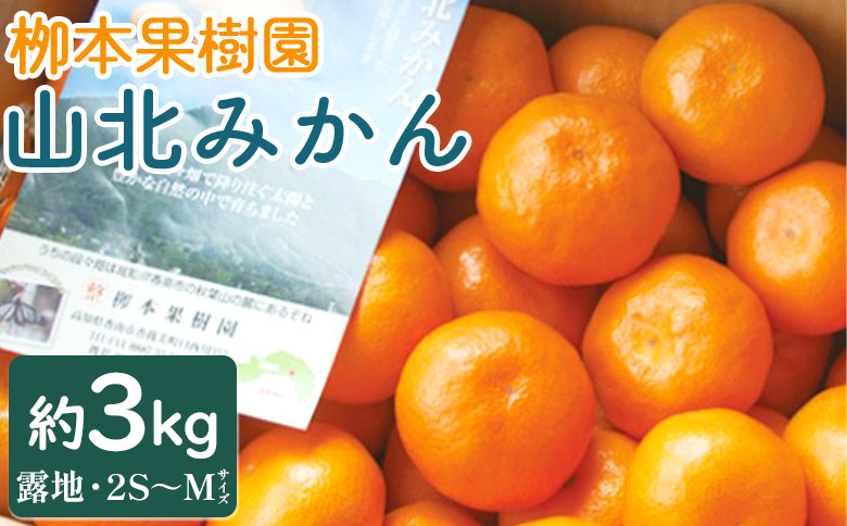 【令和6年発送】柳本果樹園の山北みかん 約3kg(露地・2S～M) - 果物 フルーツ 柑橘類 温州みかん ミカン 甘い おいしい 送料無料 期間限定 季節限定 数量限定 2024年 yg-0006