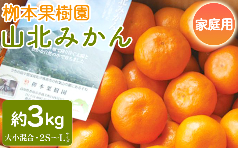 家庭用 柳本果樹園の山北みかん 3kg 大小混合(2S～L) - 果物 フルーツ 柑橘類 温州みかん ミカン 蜜柑 甘い おいしい 訳あり キズ 大小混合 送料無料 期間限定 季節限定 数量限定 高知県 香南市 yg-0012