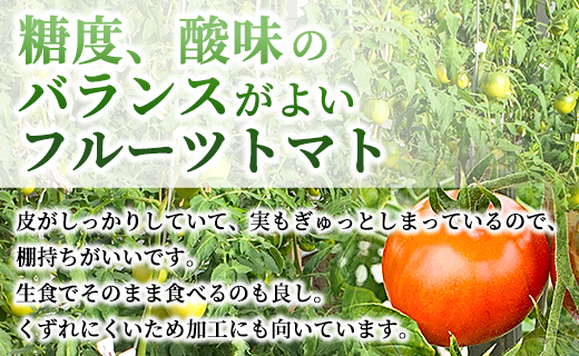 高品質！歩のフルーツトマト 約2kg 箱入り 先行予約 - 野菜 とまと 数量限定 贈答用 贈り物 ギフト 御礼 お礼 料理 アレンジ 完熟 甘い 期間限定配送 期日指定不可 のし対応可 箱入り おすそ分け 箱 フレッシュ さっぱり 酸味 糖度 新鮮 プチギフト プレゼント 美味しい おいしい 生食 そのまま 丸ごと トマトソース 高知県 香南市 冷蔵 ga-0005