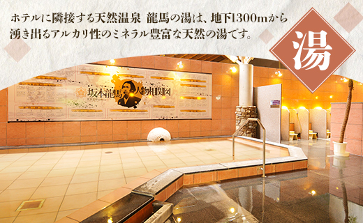 高知黒潮ホテル 一泊温泉付 1名利用 シングルルーム宿泊券 - 送料無料 チケット 旅行 癒し 一人旅 天然温泉 龍馬の湯 露天風呂 対象外日あり 四国 高知県 香南市 kh-0009