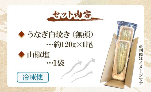 【7日程度で発送】うなぎ白焼き 1尾(約120g)(無頭) - 送料無料 鰻 ウナギ 魚介 山椒塩 惣菜 おかず のし ギフト 贈答 贈り物 プレゼント 丑の日 国産 うなぎ屋きた本 高知県 香南市 冷凍 un-0016