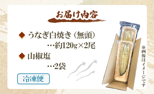 【7日程度で発送】うなぎ白焼き 2尾(合計約240g)(無頭) - 送料無料 鰻 ウナギ 魚介 惣菜 おかず 山椒塩 ギフト のし 贈り物 プレゼント 贈答 丑の日 うなぎ屋きた本 高知県 香南市 冷凍 un-0017