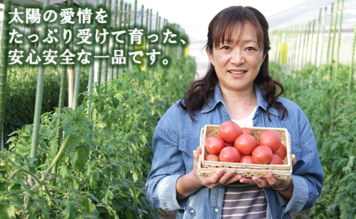 うしの恵 フルーツトマト 約2kg 期間限定 野菜 とまと 産地直送 料理 サラダ 鍋 サンドイッチ 完熟 甘い ギフト 贈答 お礼 御礼 おいしい 国産 高知県 香南市 常温 mj-0018