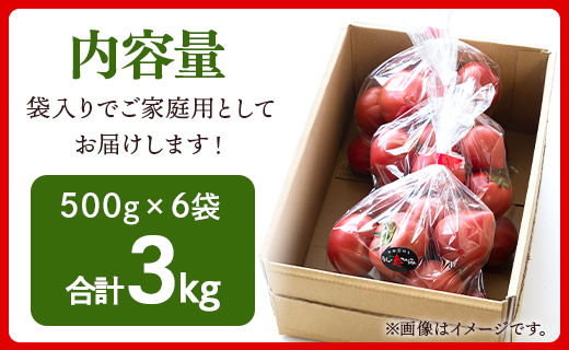 家庭用 野菜ソムリエが育てた フルーツトマト 500g×6袋 合計3kg - 野菜 とまと 産地直送 料理 アレンジ サラダ 完熟 甘い あまい フレッシュ さっぱり 酸味 うしの恵 小分け おいしい 国産 高知県 香南市 mj-0015