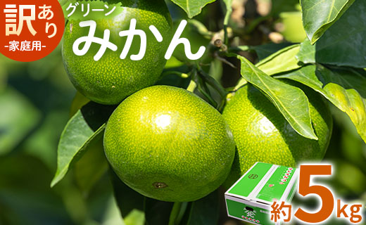 【2026年9月より順次配送】家庭用 訳あり グリーンみかん 約5kg - 送料無料 ミカン 蜜柑 柑橘 果実 ご自宅用 旬 かなや農園 合同会社Benifare 柑橘類 すっぱい 早生 わせ 爽やか さわやか さっぱり わけあり 訳アリ 特産品 高知県 香南市 be-0111