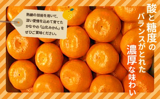 【数量限定】土佐乃かなや マルチ 山北みかん 約5kg - 送料無料 フルーツ 果物 温州みかん ミカン 柑橘 甘い おいしい 旬 季節限定 かなや農園 5キロ うんしゅう あまい オレンジ 柑橘類 柑橘 系 果実 美味しい おいしい ジューシー 果汁 みずみずしい お取り寄せ おとりよせ おすそわけ ジャム ジュース フレッシュ 濃厚 のうこう 高知県 香南市 常温 be-0017