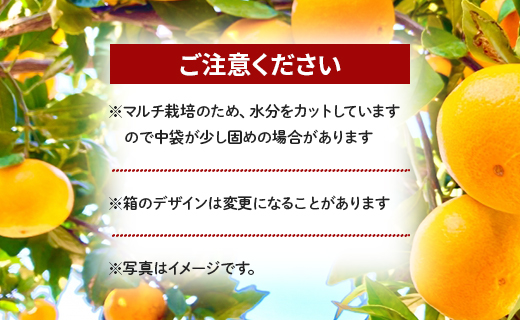 【数量限定】土佐乃かなや マルチ 山北みかん 約5kg - 送料無料 フルーツ 果物 温州みかん ミカン 柑橘 甘い おいしい 旬 季節限定 かなや農園 5キロ うんしゅう あまい オレンジ 柑橘類 柑橘 系 果実 美味しい おいしい ジューシー 果汁 みずみずしい お取り寄せ おとりよせ おすそわけ ジャム ジュース フレッシュ 濃厚 のうこう 高知県 香南市 常温 be-0017