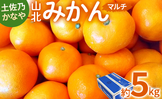 【数量限定】土佐乃かなや マルチ 山北みかん 約5kg - 送料無料 フルーツ 果物 温州みかん ミカン 柑橘 甘い おいしい 旬 季節限定 かなや農園 5キロ うんしゅう あまい オレンジ 柑橘類 柑橘 系 果実 美味しい おいしい ジューシー 果汁 みずみずしい お取り寄せ おとりよせ おすそわけ ジャム ジュース フレッシュ 濃厚 のうこう 高知県 香南市 常温 be-0017