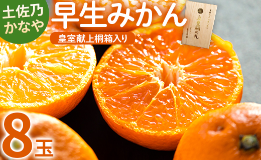 【数量限定】土佐乃かなや 早生みかん（立皇嗣の礼の刻印入桐箱使用）8玉 - ミカン 柑橘 果物 くだもの フルーツ 旬 送料無料 贈答用 贈答品 ギフト お祝い 内祝い 御礼 お礼 のし 熨斗 柑橘類 柑橘 系 わせ オレンジ 果実 ジューシー 果汁 みずみずしい フレッシュ 濃厚 のうこう 美味しい おいしい ジャム ジュース 甘い あまい 酸味 薄皮 大玉 大きい 箱 プレゼント ギフト 感謝 お歳暮 かなや農園 合同会社Benifare 高知県 香南市 常温 be-0022