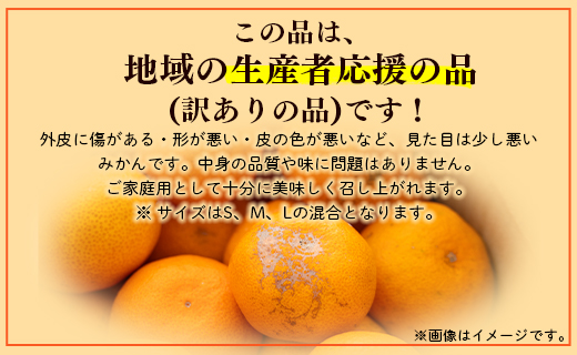 訳あり 山北みかん ご家庭用 3kg 約20～40個入り - 果物 フルーツ 柑橘類 温州みかん ミカン 蜜柑 訳アリ わけあり 生産者応援 甘い おいしい 美味しい 山北みらい 高知県 香南市 yk-0027