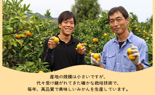 訳あり 山北みかん ご家庭用 3kg 約20～40個入り - 果物 フルーツ 柑橘類 温州みかん ミカン 蜜柑 訳アリ わけあり 生産者応援 甘い おいしい 美味しい 山北みらい 高知県 香南市 yk-0027