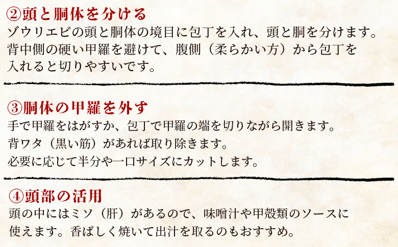 【数量限定】活 ゾウリエビ 約200～250g(1尾～2尾) - 海老 国産 エビ えび 海鮮 魚介 産地直送 プリプリ 味噌汁 刺身 焼き物 汁物 えび蔵 高知県 香南市 冷蔵 10000円以上 1万円以上 eb-0053