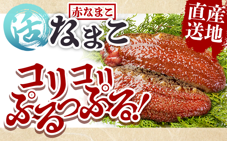 活ナマコ 2kg 赤ナマコ - 国産 産地直送 赤なまこ なまこ ナマコ 海鼠 海産物 海鮮 魚介類 刺身 刺し身 炒め物 塩辛 このわた えび蔵 高知県 香南市 冷蔵  eb-0041