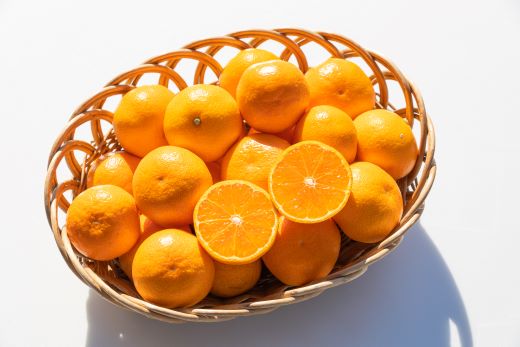 【令和8年10月下旬発送開始】みかん 5kg 山北みかん (家庭用・露地) 果物 フルーツ 温州みかん ミカン 柑橘 おいしい 甘い 送料無料 高知県 香南市 1万円以上 10000円以上 常温 ku-0054