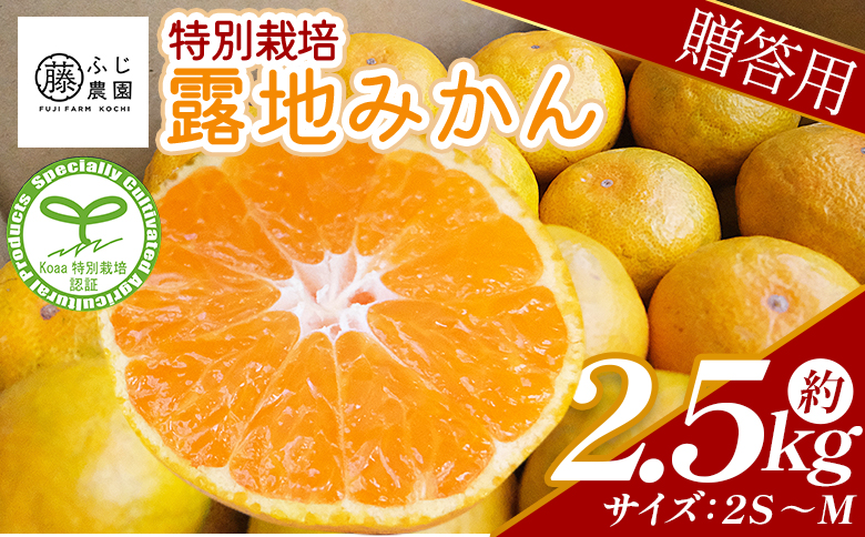 【特別栽培みかん】【2026年10月以降順次配送分】ふじ農園の露地みかん 贈答用 2.5kg (2S～M) - みかん 温州みかん 国産 蜜柑 ミカン 柑橘 果物 フルーツ 贈答 プレゼント ギフト 贈り物 ふじ農園 高知県 香南市 常温 fn-0009