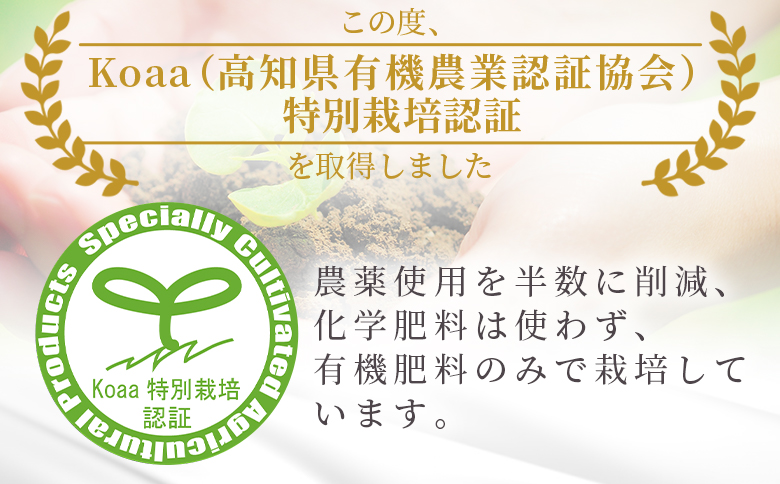 ãç¹å¥æ œå¹ã¿ãããã2026幎10æä»¥éé æ¬¡é
éåããµã蟲åã®é²å°ã¿ãã èŽççš 2.5kg (2SïœM) - ã¿ãã æž©å·ã¿ãã åœç£ èæ ãã«ã³ ææ© æç© ãã«ãŒã èŽç ãã¬ãŒã³ã ã®ãã èŽãç© ãµã蟲å é«ç¥ç éŠååž åžžæž© fn-0009