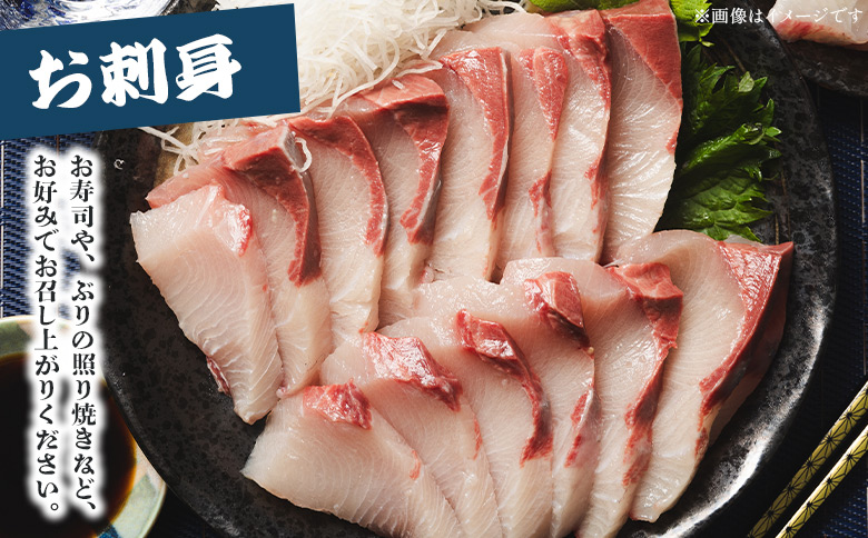 【配送日指定可能】【年末配送可能】ブリ 1匹(5kg～6kg) 「勝ブリ」 年末配送 年内配送 ny-0014