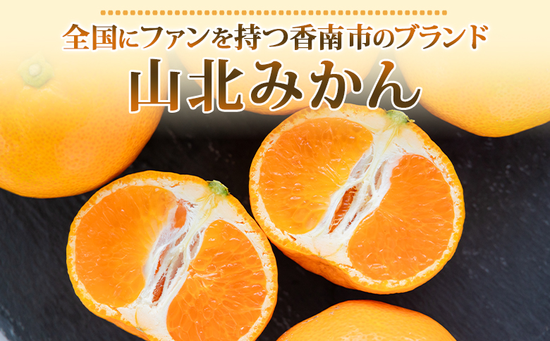 【2026年発送分】山北温室みかん 約1.2kg 秀品 ku-0050
