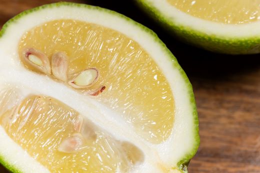 レモン 3kg - 香南市産 国産 檸檬 れもん 果物 くだもの フルーツ 野菜 柑橘 果汁 料理 アレンジ はちみつレモンパウンドケーキ 高知県 香南市 常温 冷蔵 sj-0011