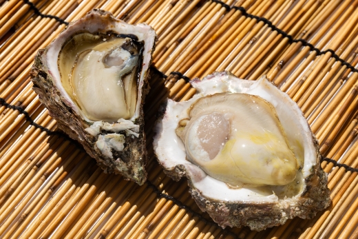 ＜先行予約＞海鮮バーベキューセット(伊勢海老・岩ガキ) 3〜4人前＜出荷期間：2026年5月～10月＞ 冷凍 国産 海鮮 魚介 カキ かき えび エビ 牡蠣 貝類 殻つき 天然 産地直送  eb-0037