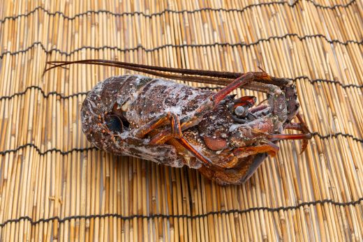 ＜先行予約＞海鮮バーベキューセット(伊勢海老・岩ガキ) 3〜4人前＜出荷期間：2026年5月～10月＞ 冷凍 国産 海鮮 魚介 カキ かき えび エビ 牡蠣 貝類 殻つき 天然 産地直送  eb-0037