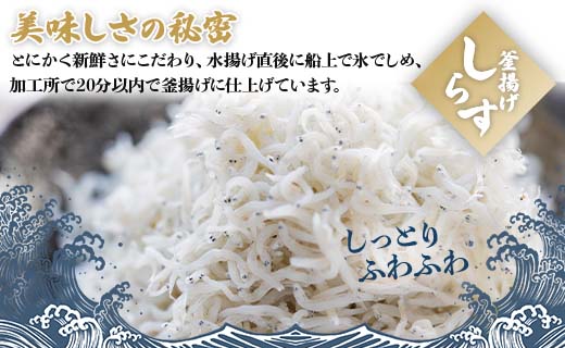 釜揚げしらす 合計460g（230g×2パック）- シラス かまあげ しらす丼 魚介 シーフード 海産物 新鮮 小分け ギフト 贈答 国産 海の幸 丼ぶり 夕飯 夕食 肴 おかず おやつ 晩酌 簡単 料理 アレンジ パスタ トースト 一品 お弁当 昼食 和食 洋食 国産 美味しい おいしい おすそ分け プレゼント ギフト お取り寄せ おとりよせ グルメ ご自宅用 お礼 御礼 贈り物 贈答 内祝い ヤマナカ水産 高知県 香南市 冷凍  ym-0008