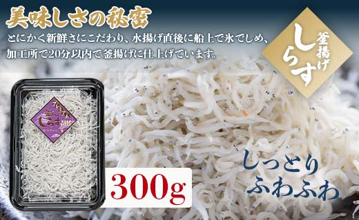 釜揚げしらす「銀凪」入り 3点セット 合計700g - シラス かまあげ 丼 魚介 シーフード 数量限定 特産品 海産物 新鮮 ご飯のお供 おつまみ ギフト 贈答 国産 海の幸 令和6年 ヤマナカ水産 高知県 香南市 冷凍 ym-0009