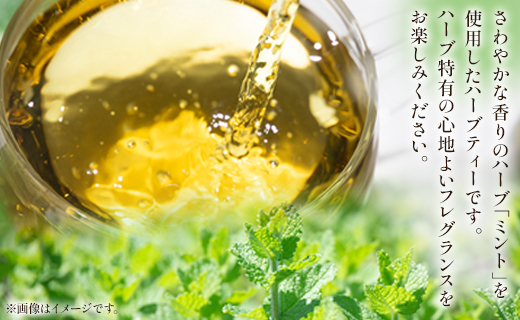 さわやかミントハーブティー 合計18袋セット（3袋入り×6パック）- お茶 飲み物 飲料 ティーバッグ 茶葉 ティータイム はーぶ リラックス ギフト プレゼント 贈り物 熨斗対応可 のし 紅茶 お茶の時間 ほっと時間 温かい ほっと一息 美味しい おいしい ご挨拶 あいさつ 手土産 記念日 内祝い おとりよせ お取り寄せ パーティ パック 便利 チャック付き アレンジ 色々 紅茶割り ジュース割り お好み GREEN BASE 安眠 更年期 高知県 香南市 常温 gr-0159