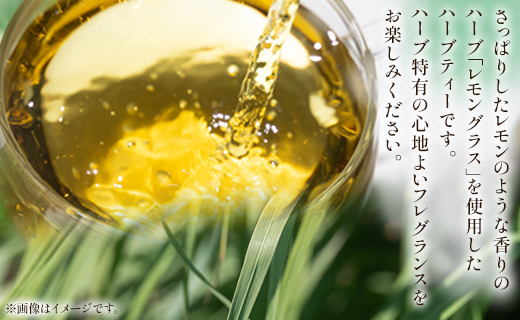 さわやかレモングラスハーブティー 合計72袋セット（3袋入り×24パック）- お茶 飲み物 飲料 ティーバッグ 茶葉 ティータイム はーぶ リラックス ギフト プレゼント 贈り物 熨斗対応可 のし 紅茶 お茶の時間 ほっと時間 温かい ほっと一息 美味しい おいしい ご挨拶 あいさつ 手土産 記念日 内祝い おとりよせ お取り寄せ パーティ パック 便利 チャック付き アレンジ 色々 紅茶割り ジュース割り お好み GREEN BASE 安眠 更年期 高知県 香南市 常温 gr-0171
