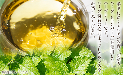 3ãæå®æäŸ¿ ããããã¬ã¢ã³ããŒã ããŒããã£ãŒ åèš54è¢ïŒ18è¢Ã3åïŒ- ãè¶ é£²ã¿ç© 飲æ ãã£ãŒããã° è¶è ãã£ãŒã¿ã€ã ã¯ãŒã¶ ãªã©ãã¯ã¹ ã®ãã ãã¬ãŒã³ã èŽãç© çšæå¯Ÿå¿å¯ ã®ã çŽ
è¶ ãè¶ã®æé ã»ã£ãšæé æž©ãã ã»ã£ãšäžæ¯ çŸå³ãã ãããã ãæšæ¶ ããã〠æåç£ èšå¿µæ¥ å
ç¥ã ããšããã ãåãå¯ã ããŒã㣠ããã¯ äŸ¿å© ãã£ãã¯ä»ã ã¢ã¬ã³ãž è²ã
çŽ
è¶å²ã ãžã¥ãŒã¹å²ã ã奜㿠GREEN BASE å®ç æŽå¹Žæ é«ç¥ç éŠååž åžžæž© Wgr-0098