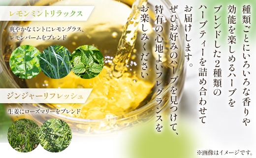 3か月定期便 ブレンドハーブティー 2種の詰め合わせ 合計54袋 - お茶 ティーバッグ 茶葉 レモンミントリラックス ジンジャーリフレッシュ ハーブ リラックス Wgr-0116