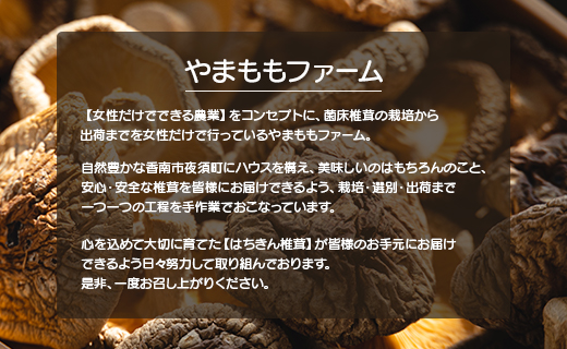 やまももファーム乾燥椎茸 4袋セット(合計約80g)  - シイタケ 干ししいたけ きのこ 乾物 カット 菌床 農薬不使用 化学肥料不使用 国産 高知県 香南市 常温 yo-0008