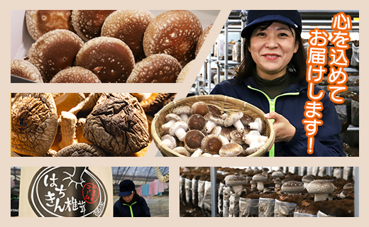 やまももファーム乾燥椎茸 4袋セット(合計約80g)  - シイタケ 干ししいたけ きのこ 乾物 カット 菌床 農薬不使用 化学肥料不使用 国産 高知県 香南市 常温 yo-0008