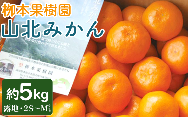 柳本果樹園の山北みかん 5kg (露地・2S～M) - 果物 フルーツ 柑橘類 温州みかん ミカン 蜜柑 甘い おいしい のし 贈り物 期間限定 季節限定 数量限定 高知県 香南市 yg-0011