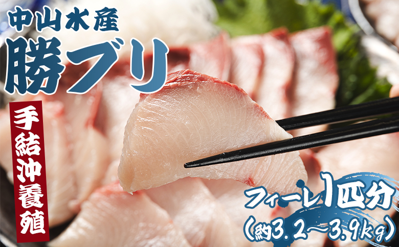 「勝ブリ」のフィーレ約3.2kg～3.9kg 【先行予約】 手結沖養殖 - 期間限定 魚 ぶり 鰤 寒ブリ 海鮮 鮮魚 魚介類 切り身 海の幸 ギフト お刺身 煮物 焼き魚 おかず 産地直送 のし対応可 送料無料 高知県 香南市 ny-0004