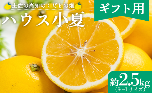 【2026年出荷分】【日向夏】ハウス小夏 2.5kg(ギフト用) 高知 土佐 こなつ 果物 フルーツ 土佐の高知のくだもの畑 【先行予約】 - ミカン みかん 蜜柑 柑橘 ハウス 果物 フルーツ こなつ 贈答用 贈り物 のし対応可 熨斗 国産 kd-0031