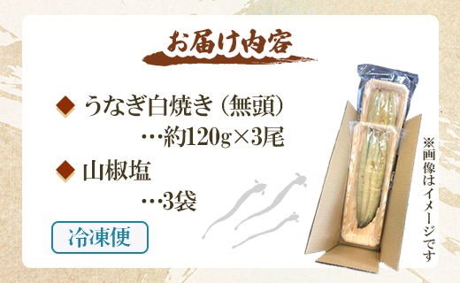 【7日程度で発送】うなぎ白焼き 3尾(合計約360g)(無頭) - 送料無料 鰻 ウナギ 魚介 惣菜 スピード おかず 山椒塩 のし ギフト 贈答 贈り物 プレゼント 丑の日 うなぎ屋きた本 高知県 香南市 冷凍 un-0018