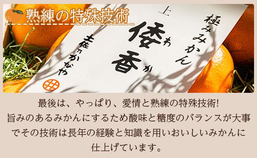 【数量限定】土佐乃かなや マルチ 献上みかん「倭香(わか)」2.8kg - 送料無料 柑橘 のし 熨斗 数量限定 配送時間指定 蜜柑 ミカン フルーツ 果物 くだもの デザート お取り寄せ おとりよせ 国産 特産品 旬 柑橘類 柑橘 系 オレンジ 果実 ジューシー 果汁 みずみずしい フレッシュ 濃厚 のうこう 美味しい おいしい ジャム ジュース 甘い あまい 酸味 薄皮 大玉 大きい 箱 贈答品 贈答用 プレゼント ギフト お祝い 内祝い 感謝 お礼 御礼 お歳暮 高知県 香南市 常温 be-0018