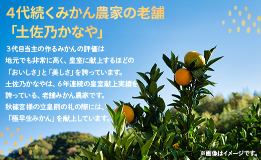 【数量限定】土佐乃かなや 早生みかん（立皇嗣の礼の刻印入桐箱使用）8玉 - ミカン 柑橘 果物 くだもの フルーツ 旬 送料無料 贈答用 贈答品 ギフト お祝い 内祝い 御礼 お礼 のし 熨斗 柑橘類 柑橘 系 わせ オレンジ 果実 ジューシー 果汁 みずみずしい フレッシュ 濃厚 のうこう 美味しい おいしい ジャム ジュース 甘い あまい 酸味 薄皮 大玉 大きい 箱 プレゼント ギフト 感謝 お歳暮 かなや農園 合同会社Benifare 高知県 香南市 常温 be-0022