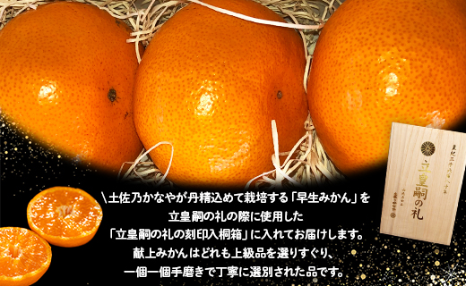 【数量限定】土佐乃かなや 早生みかん（立皇嗣の礼の刻印入桐箱使用）8玉 - ミカン 柑橘 果物 くだもの フルーツ 旬 送料無料 贈答用 贈答品 ギフト お祝い 内祝い 御礼 お礼 のし 熨斗 柑橘類 柑橘 系 わせ オレンジ 果実 ジューシー 果汁 みずみずしい フレッシュ 濃厚 のうこう 美味しい おいしい ジャム ジュース 甘い あまい 酸味 薄皮 大玉 大きい 箱 プレゼント ギフト 感謝 お歳暮 かなや農園 合同会社Benifare 高知県 香南市 常温 be-0022