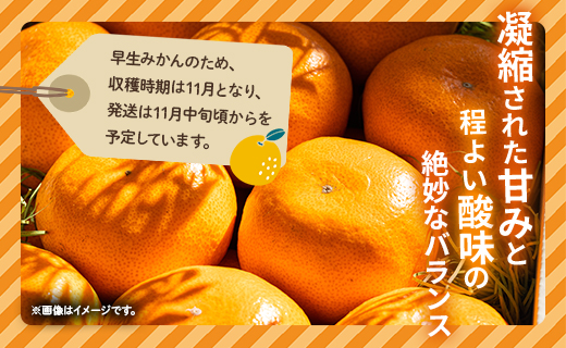 【数量限定】土佐乃かなや 早生みかん（立皇嗣の礼の刻印入桐箱使用）8玉 - ミカン 柑橘 果物 くだもの フルーツ 旬 送料無料 贈答用 贈答品 ギフト お祝い 内祝い 御礼 お礼 のし 熨斗 柑橘類 柑橘 系 わせ オレンジ 果実 ジューシー 果汁 みずみずしい フレッシュ 濃厚 のうこう 美味しい おいしい ジャム ジュース 甘い あまい 酸味 薄皮 大玉 大きい 箱 プレゼント ギフト 感謝 お歳暮 かなや農園 合同会社Benifare 高知県 香南市 常温 be-0022