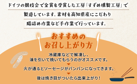 生産量日本一のニラソーセージ 2袋 合計10本 - ウィンナー ウインナー 惣菜 加工品 にら 韮 香味野菜 やさい 葉物 国産 おつまみ おかず 鍋 ご飯のお供 バーベキュー ギフト 高知県 香南市 on-0020