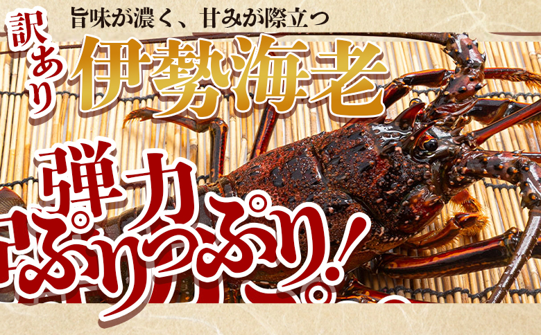 ＜先行予約＞海鮮バーベキューセット(伊勢海老・岩ガキ) 3〜4人前＜出荷期間：2026年5月～10月＞ 冷凍 国産 海鮮 魚介 カキ かき えび エビ 牡蠣 貝類 殻つき 天然 産地直送  eb-0037